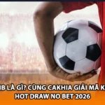 Dnb Là Gì? Cùng Cakhia Giải Mã Kèo Hot Draw No Bet 2026